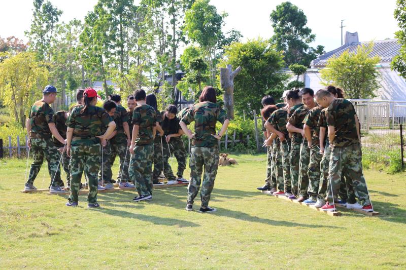 91免费视频观看