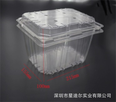 深圳水果91免费视频观看