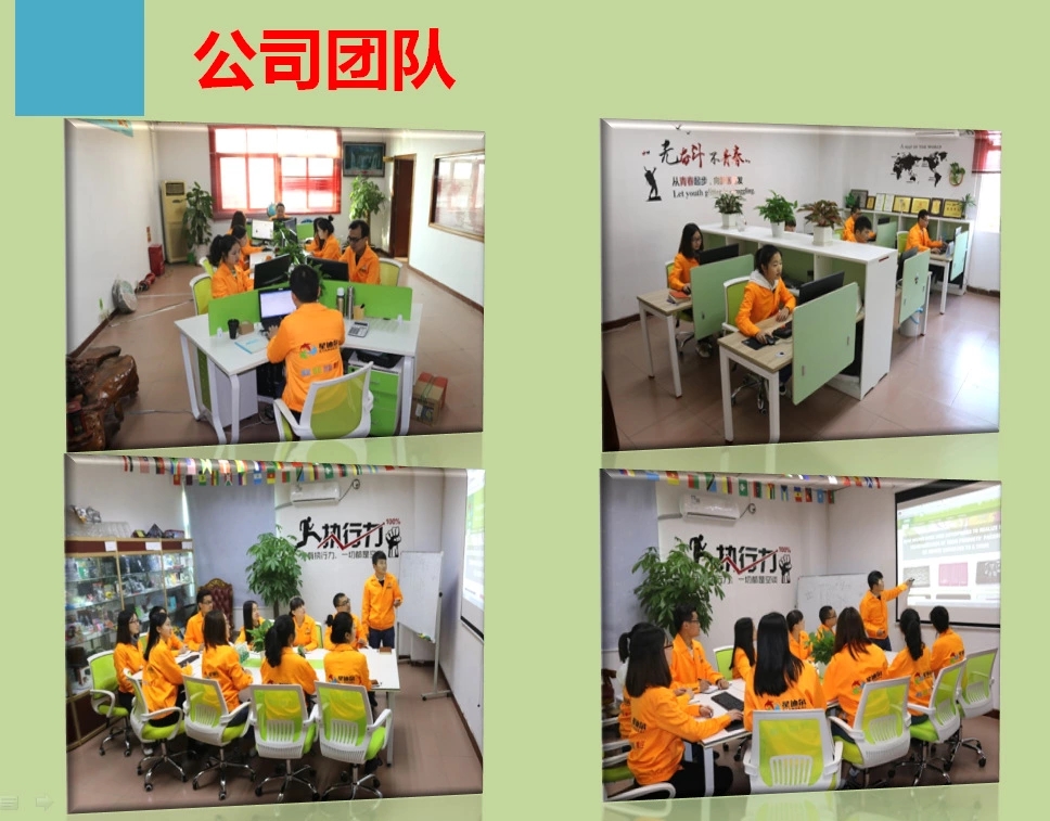 91免费视频观看队伍